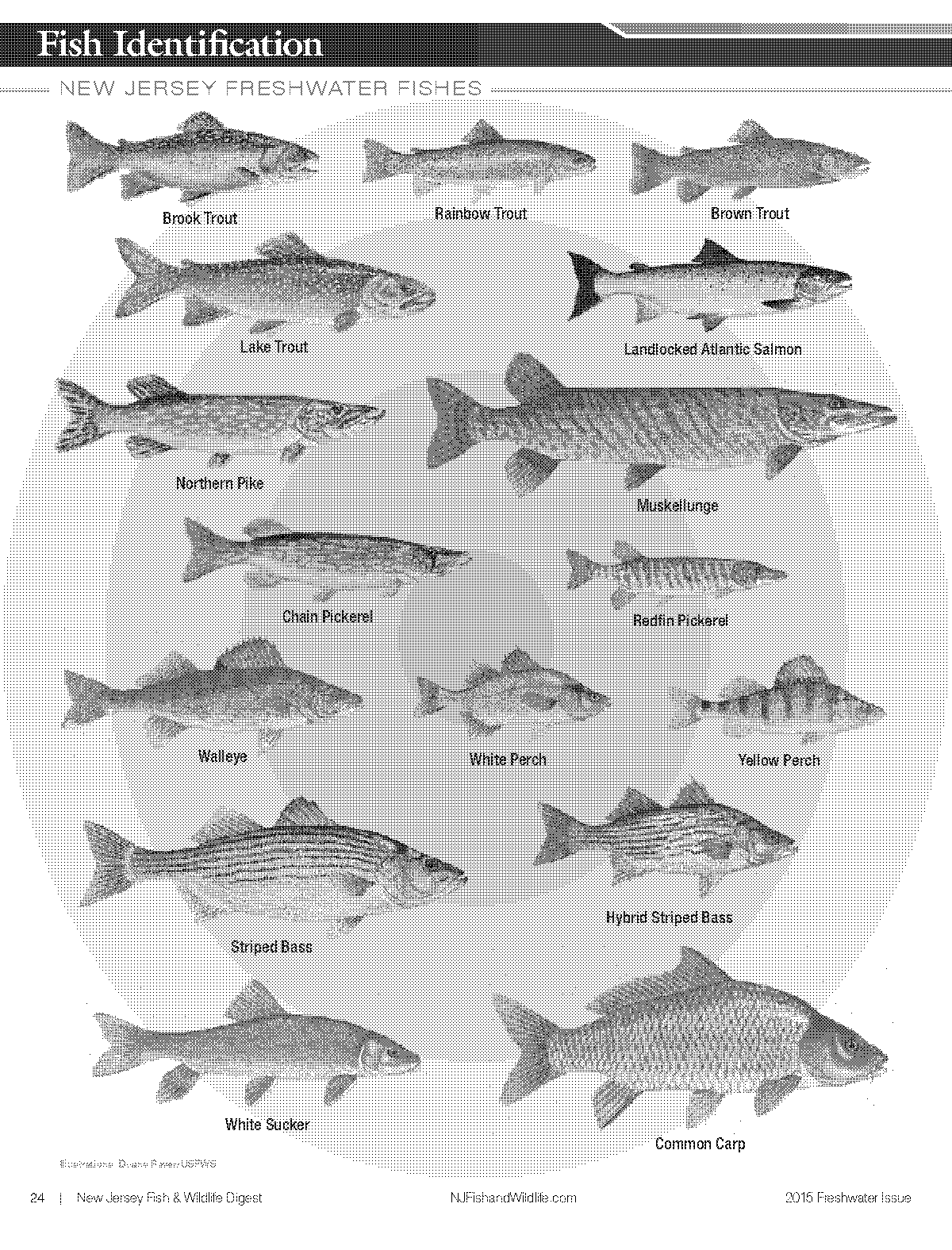 blank clipart black and white jerseys