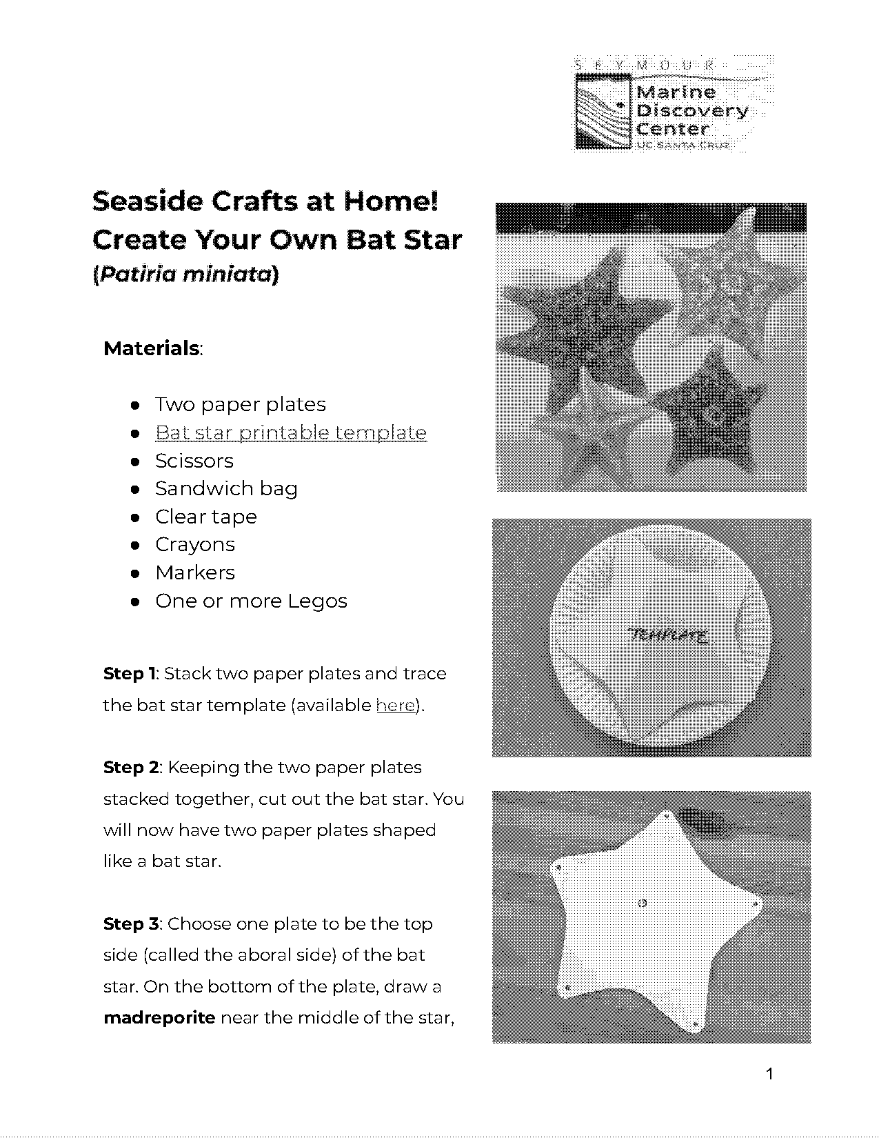 coloured star template printable