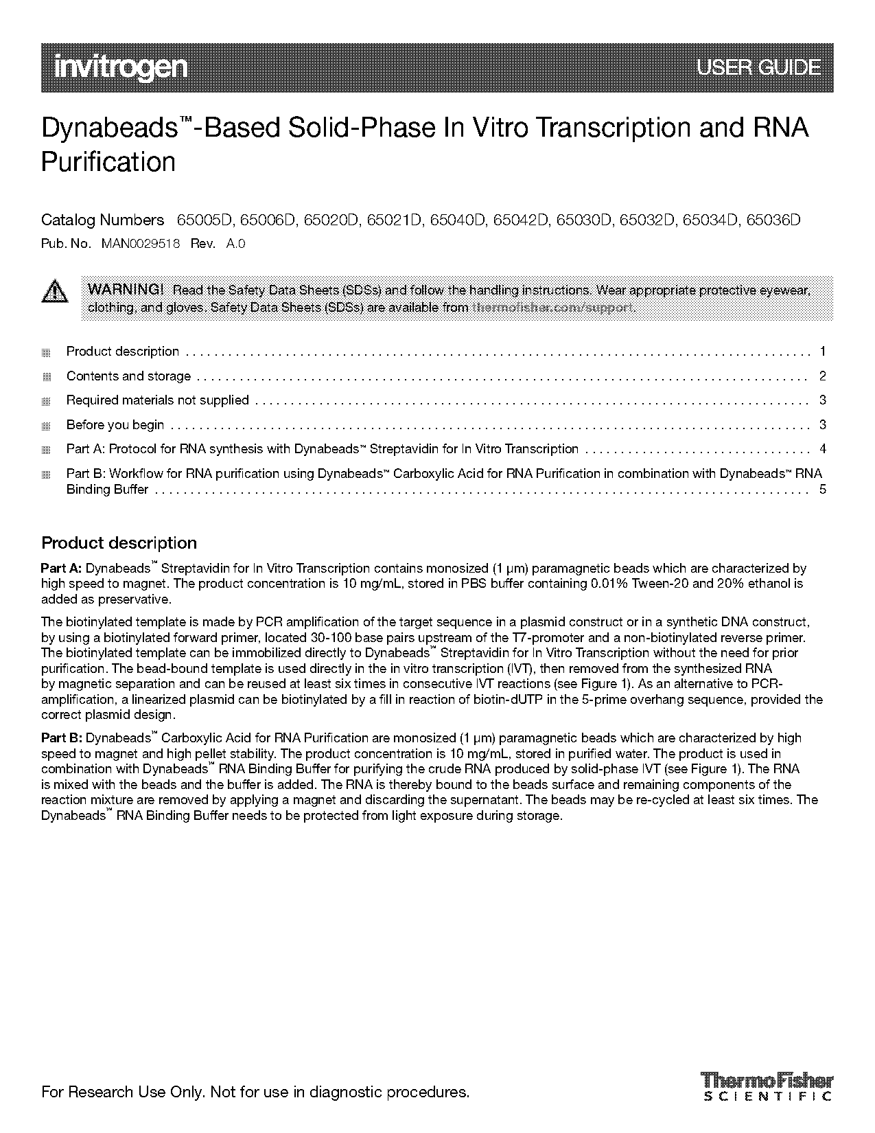 in vitro transcription of biotinylated rna