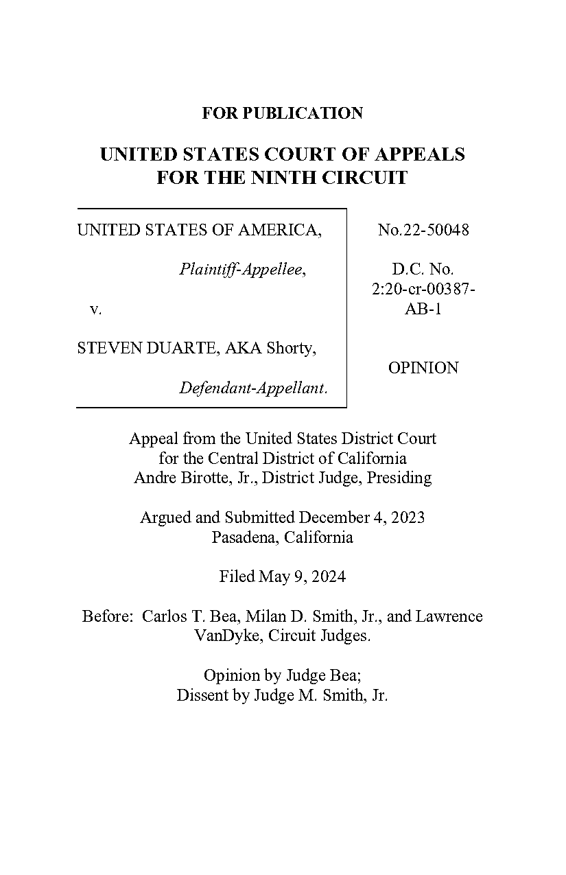 ninth circuit abstaining second amendment