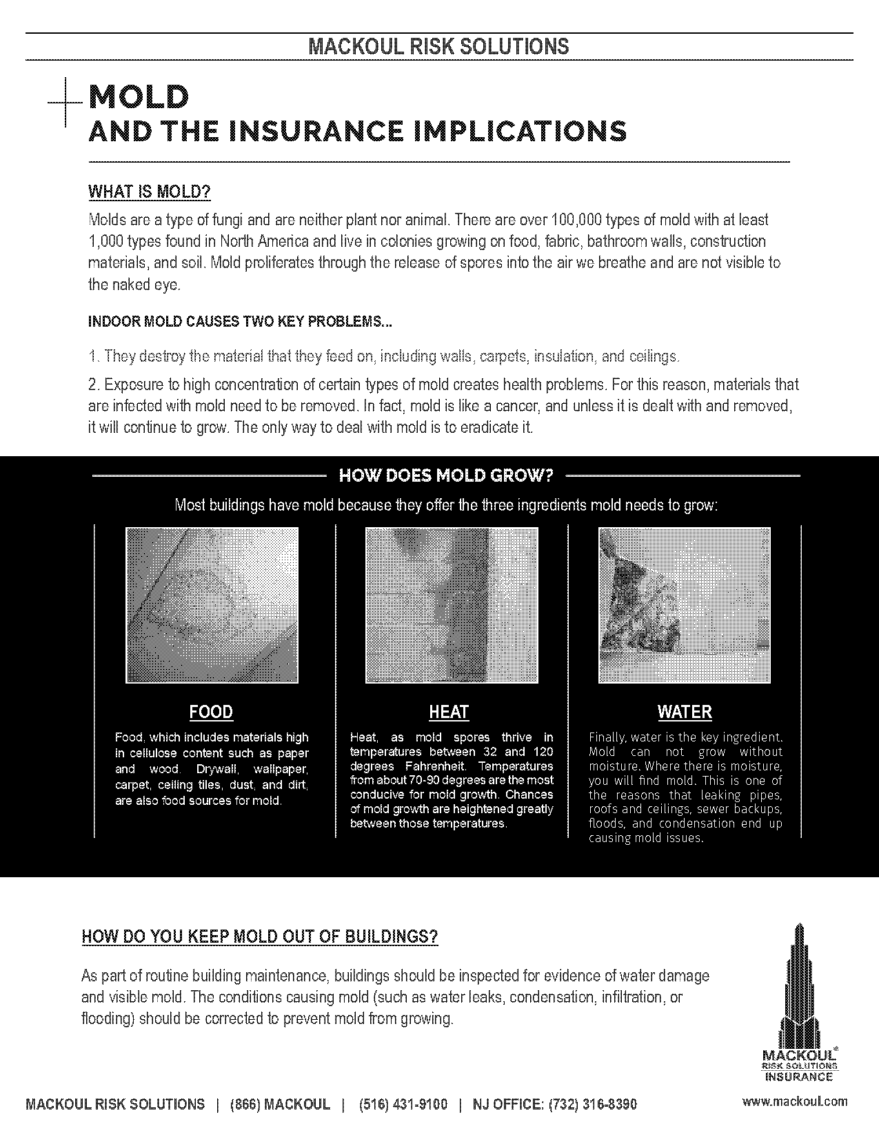 is leaky pipe causing mold covered by insurance