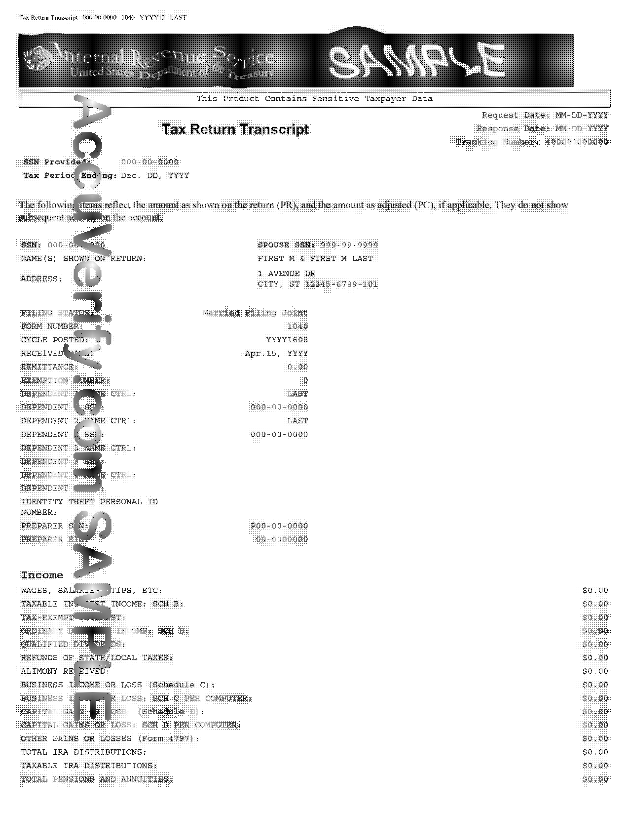 example of irs tax return transcript