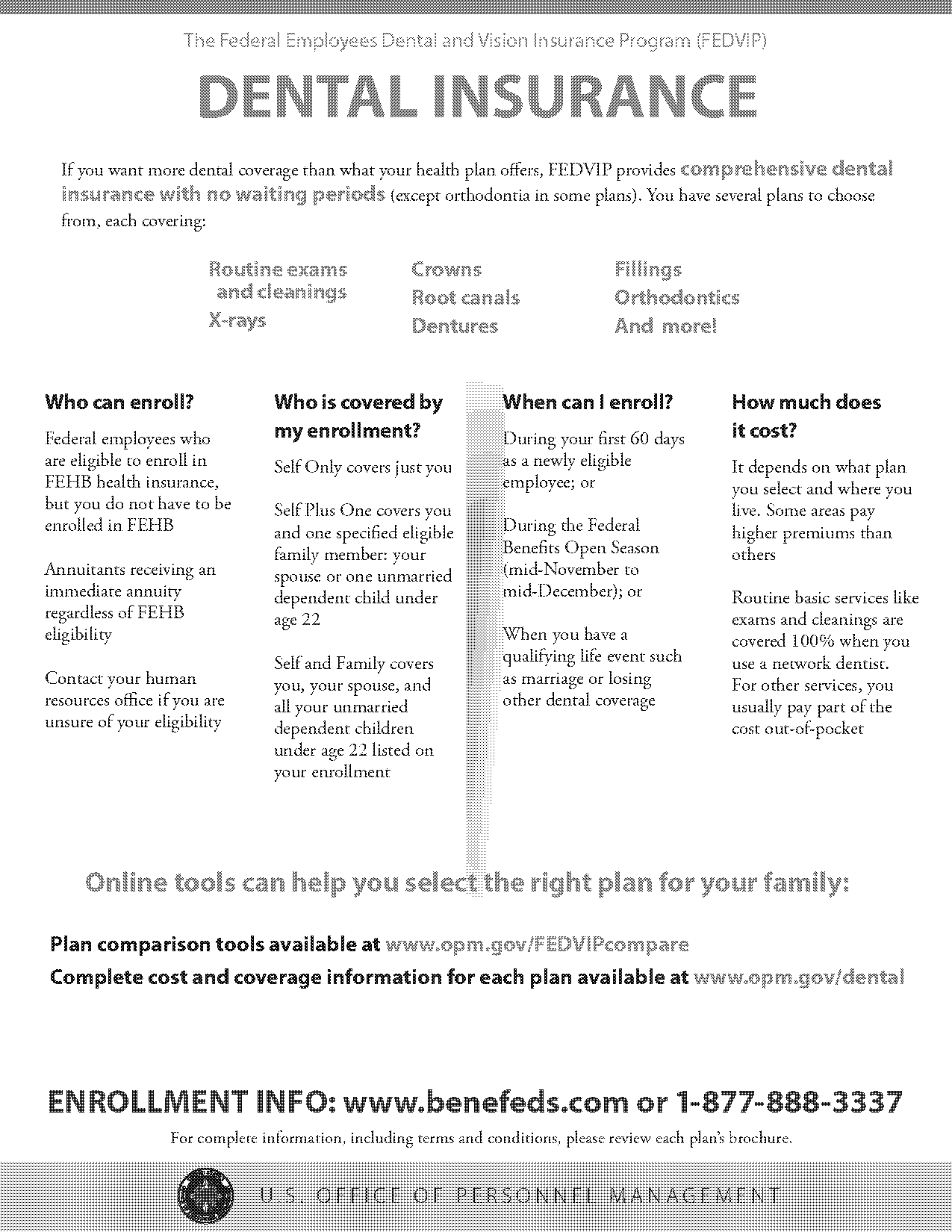 cost of just dental insurance